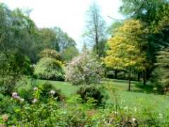 Spinners Garden, Boldre, Hampshire -